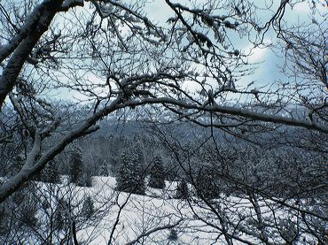 Paysage du Jura sous la neige
