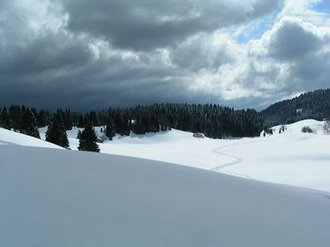 Paysage de neige avec contraste