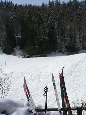 Paysage avec skis