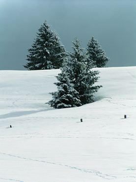 Pente légère de neige