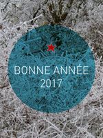 bonne année
