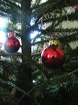 boules de sapin de noel Images gratuites