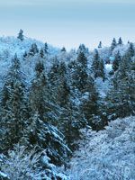 neige Vosges
