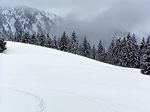 nuage sapins