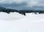paysage de neige
