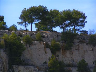 Falaise Provence