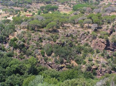 Paysage provencal