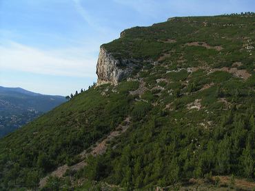 Paysage provençal