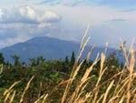 Mont Ventoux