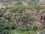 paysage-provencal