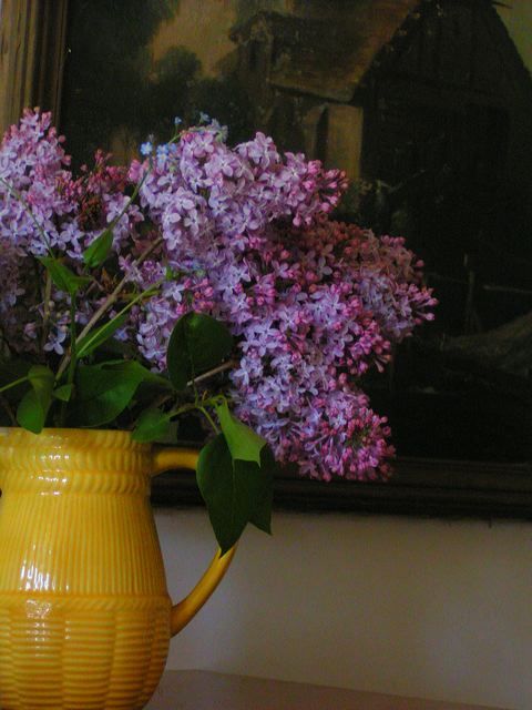 Bouquet de lilas image gratuite