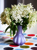 Bouquet de fleurs de sureau