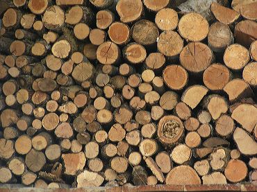 tas de bois image de la matière bois