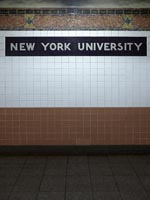 New York University