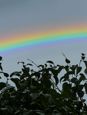 Un bel arc en ciel